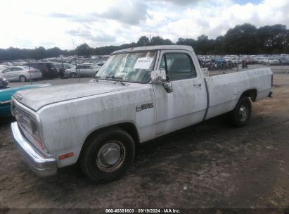 1989 DODGE D-SERIES D150 White  Gasoline 1B7HE16X1KS079345 photo #3