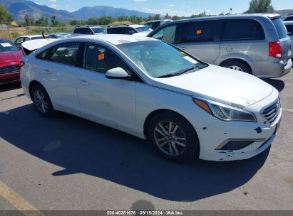 2016 HYUNDAI SONATA White  Gasoline 5NPE24AF6GH393834 photo #1