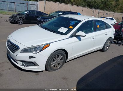 2016 HYUNDAI SONATA White  Gasoline 5NPE24AF6GH393834 photo #3