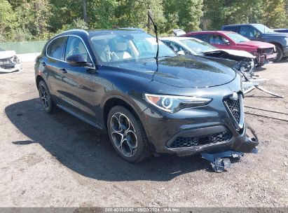 2020 ALFA ROMEO STELVIO TI LUSSO AWD Black  Gasoline ZASPAKBN7L7C76808 photo #1