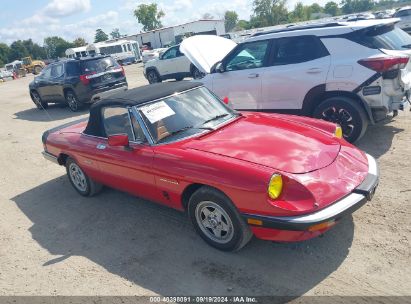 1989 ALFA ROMEO SPIDER VELOCE Red  Gasoline ZARBA5586K1066203 photo #1