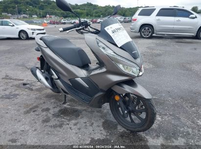 2019 HONDA WW150 Gray  Gasoline RLHKF3005KY000265 photo #1