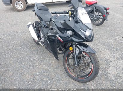 2018 SUZUKI GSX250R Black  Gasoline LC6DN11AXJ1100971 photo #1