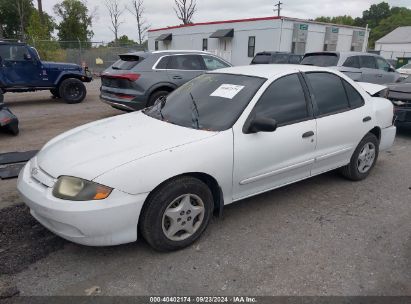 2003 CHEVROLET CAVALIER White  Gasoline 1G1JC52F337131177 photo #3