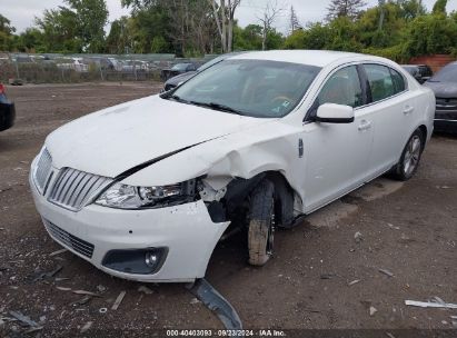 2010 LINCOLN MKS White  Gasoline 1LNHL9ERXAG616489 photo #3