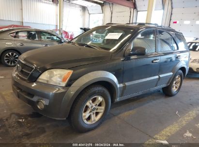 2003 KIA SORENTO EX/LX Black  Gasoline KNDJC733X35134564 photo #3