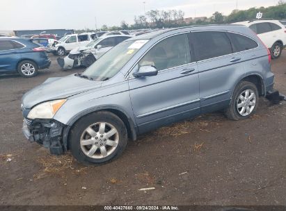 2008 HONDA CR-V EX-L Blue  Gasoline JHLRE38758C045024 photo #3