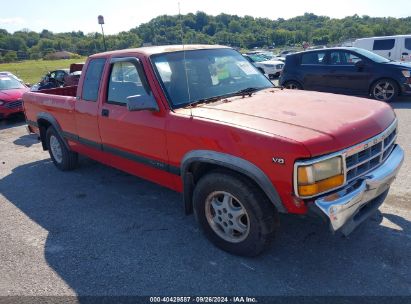 1995 DODGE DAKOTA Red  Gasoline 1B7GL23Y3SS215852 photo #1