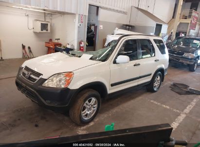 2004 HONDA CR-V EX White  Gasoline JHLRD78824C035368 photo #3