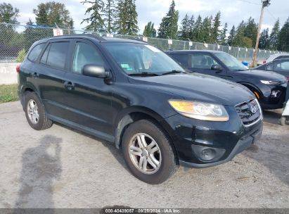 2011 HYUNDAI SANTA FE GLS Black  Gasoline 5XYZG3AB1BG001031 photo #1