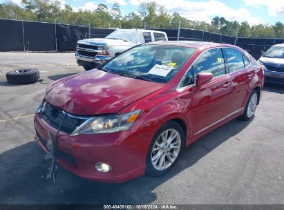 2010 LEXUS HS 250H PREMIUM Red  Hybrid JTHBB1BA5A2009991 photo #3