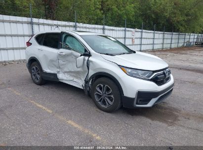 2022 HONDA CR-V AWD EX White  Gasoline 7FARW2H51NE013189 photo #1