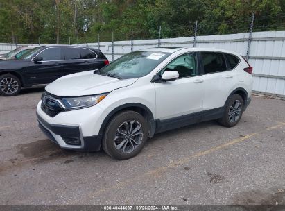 2022 HONDA CR-V AWD EX White  Gasoline 7FARW2H51NE013189 photo #3