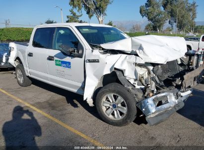 2019 FORD F-150 XLT White  Gasoline 1FTEW1C54KKC38586 photo #1