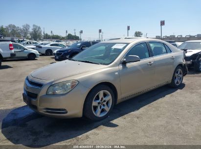 2008 CHEVROLET MALIBU LT Beige  Gasoline 1G1ZH57B58F165144 photo #3