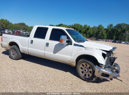 2014 FORD F-250 XLT White  Gasoline 1FT7W2A64EEA42080 photo #1