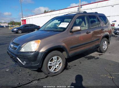 2002 HONDA CR-V EX Brown  Gasoline JHLRD78882C086063 photo #3