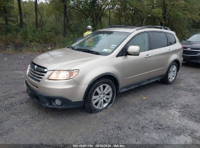 2008 SUBARU TRIBECA LIMITED 7-PASSENGER Gold  Gasoline 4S4WX90D184416555 photo #3