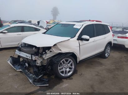 2024 HONDA PASSPORT AWD EX-L White  Gasoline 5FNYF8H50RB003754 photo #3