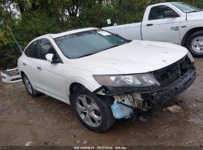 2010 HONDA ACCORD CROSSTOUR EX-L White  Gasoline 5J6TF1H55AL014231 photo #1