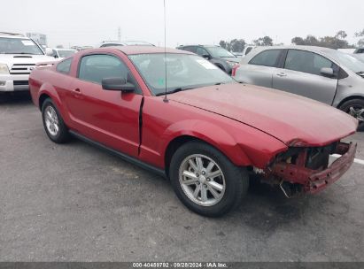 2008 FORD MUSTANG V6 DELUXE/V6 PREMIUM Red  Gasoline 1ZVHT80N385129379 photo #1