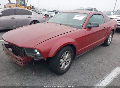 2008 FORD MUSTANG V6 DELUXE/V6 PREMIUM Red  Gasoline 1ZVHT80N385129379 photo #3