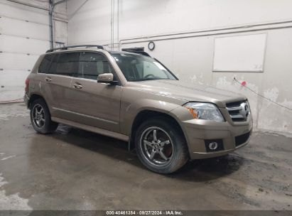 2010 MERCEDES-BENZ GLK 350 4MATIC Gold  Gasoline WDCGG8HB9AF278242 photo #1