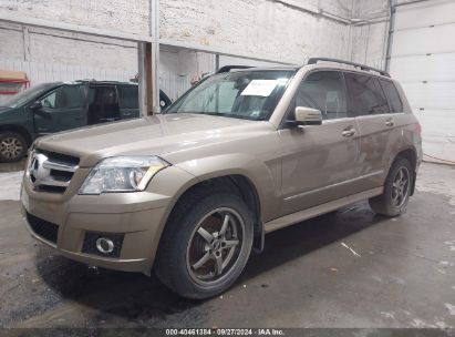 2010 MERCEDES-BENZ GLK 350 4MATIC Gold  Gasoline WDCGG8HB9AF278242 photo #3