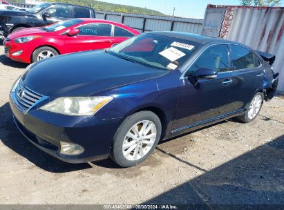 2010 LEXUS ES 350 Blue  Gasoline JTHBK1EG1A2393767 photo #3