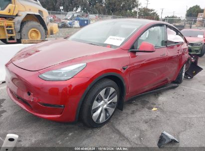 2024 TESLA MODEL Y LONG RANGE DUAL MOTOR ALL-WHEEL DRIVE Red  Electric 7SAYGDEE0RF082288 photo #3