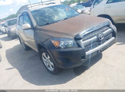 2010 TOYOTA RAV4 LIMITED Beige  Gasoline JTMDF4DV9A5034911 photo #1