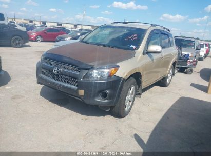 2010 TOYOTA RAV4 LIMITED Beige  Gasoline JTMDF4DV9A5034911 photo #3