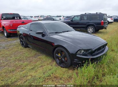 2014 FORD MUSTANG V6 Black  Gasoline 1ZVBP8AM5E5283653 photo #1