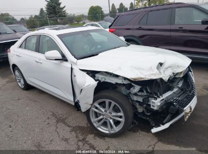 2024 CADILLAC CT4 LUXURY White  Gasoline 1G6DK5RK4R0125032 photo #1