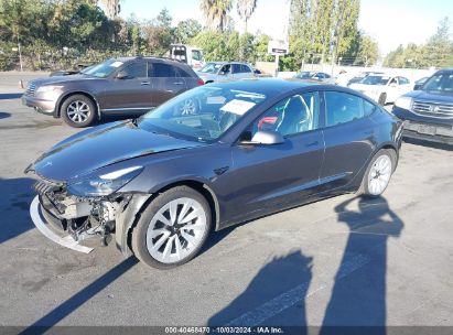 2023 TESLA MODEL 3 REAR-WHEEL DRIVE Gray  Electric 5YJ3E1EA7PF555576 photo #3