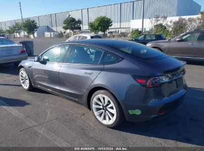 2023 TESLA MODEL 3 REAR-WHEEL DRIVE Gray  Electric 5YJ3E1EA7PF555576 photo #4