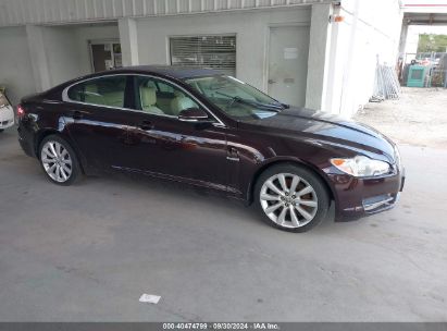 2011 JAGUAR XF PREMIUM Burgundy sedan 4d gas SAJWA0GB4BLR88692 photo #1