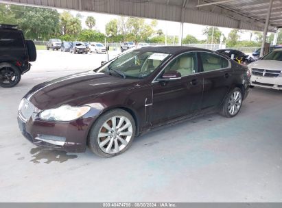 2011 JAGUAR XF PREMIUM Burgundy sedan 4d gas SAJWA0GB4BLR88692 photo #3