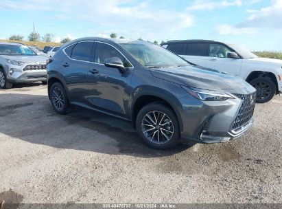 2025 LEXUS NX 250 Gray  Gasoline 2T2ADCAZ2SC018009 photo #1