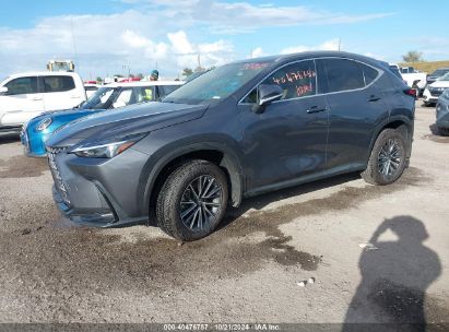 2025 LEXUS NX 250 Gray  Gasoline 2T2ADCAZ2SC018009 photo #3