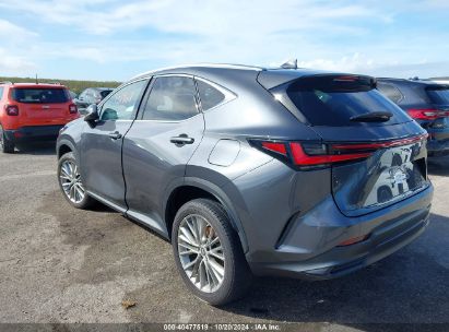 2023 LEXUS NX 350H LUXURY Gray  Hybrid 2T2HKCEZ1PC011980 photo #4