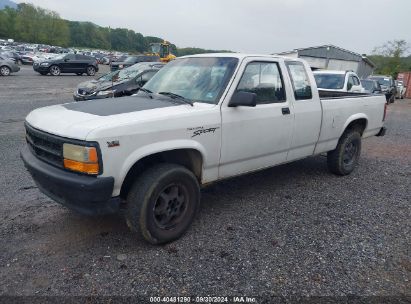 1996 DODGE DAKOTA White  Gasoline 1B7GG23X4TS669850 photo #3