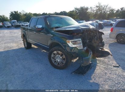 2013 FORD F-150 PLATINUM Black  Flexible Fuel 1FTFW1EF5DFC32480 photo #1