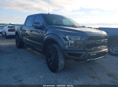 2018 FORD F-150 RAPTOR Black  Gasoline 1FTFW1RG3JFA48167 photo #1