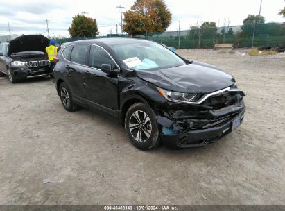 2021 HONDA CR-V AWD SPECIAL EDITION Black  Gasoline 7FARW2H70ME029366 photo #1