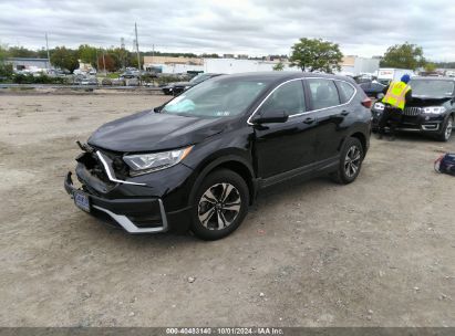 2021 HONDA CR-V AWD SPECIAL EDITION Black  Gasoline 7FARW2H70ME029366 photo #3