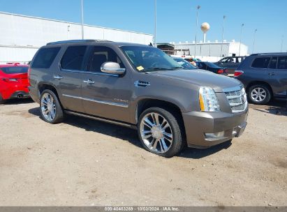 2013 CADILLAC ESCALADE PLATINUM EDITION Brown  Flexible Fuel 1GYS4DEF6DR182249 photo #1