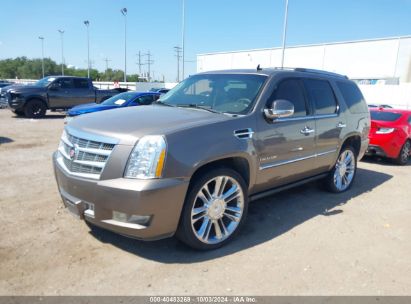 2013 CADILLAC ESCALADE PLATINUM EDITION Brown  Flexible Fuel 1GYS4DEF6DR182249 photo #3