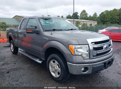 2013 FORD F150 SUPER CAB Gray  Flexible Fuel 1FTFX1EF1DFC77395 photo #1