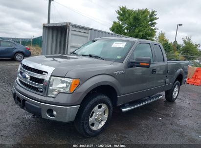 2013 FORD F150 SUPER CAB Gray  Flexible Fuel 1FTFX1EF1DFC77395 photo #3